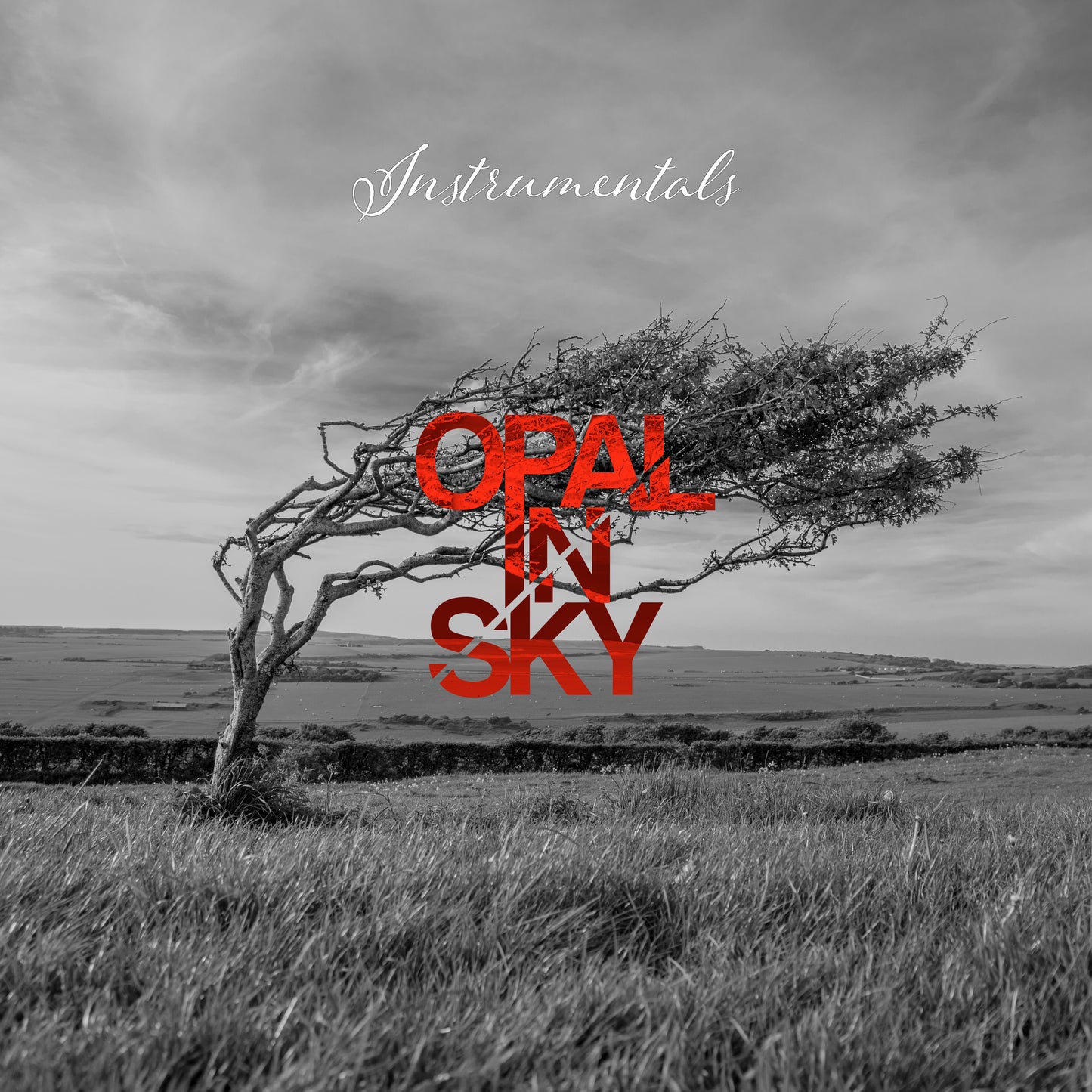 OPAL IN SKY "Instrumentals"