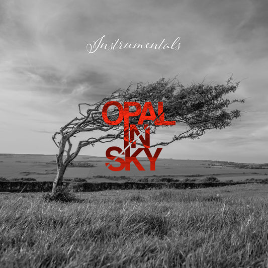 OPAL IN SKY "Instrumentals"